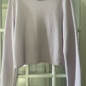 Aerie Purple Boxy Crop Long Sleeve Top